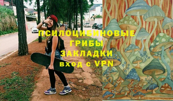 крисы Алзамай