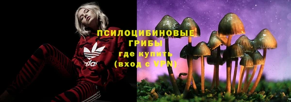 крисы Алзамай