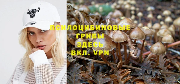 spice Алексеевка