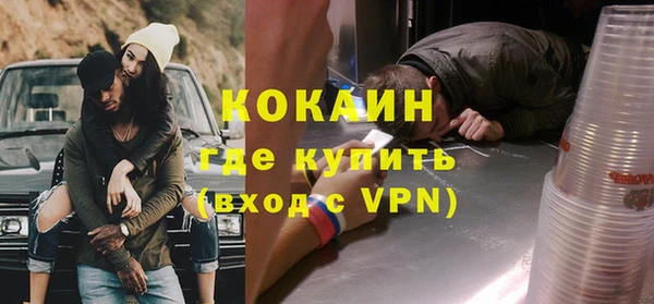 крисы Алзамай