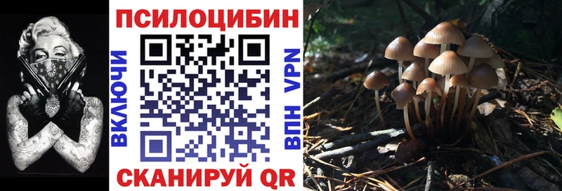 KRAKEN как зайти  Ковылкино  Псилоцибиновые грибы Magic Shrooms  закладки 